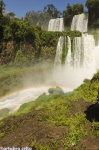 Saltos de Iguazú
Iguazu Argentina Brasil Cataratas Waterfall Falls Foto Selva Naturaleza