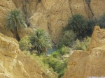 Oasis en Túnez
Chebika Tamerza Túnez Desierto Sahara Montaña Oasis Películas Foto Naturaleza