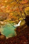 Nacedero del Urederra
Urederra Nacedero Lizarra Estella Foto Navarra Cascada Río Urbasa Sierra Andía Otoño Bosque