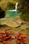 Cascada en Urederra - Navarra
Nacedero Urederra Baquedano Estella Lizondo Navarra Sierra Urbasa Bosque Foto Río Otoño Cascada Waterfall