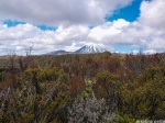 Tongariro
Nueva Zelanda Antípodas Señor Anillos Monte Destino Montaña Volcán Tongariro Naturaleza Foto
