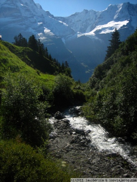 Paisaje alpino
Sobre la terraza de Mürren, en una ruta que hay hacia una cascada, se puede disfrutar de estas vistas.
