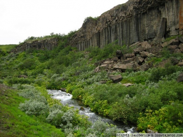 Jokulsarglufur
En este Parque Natural pudimos ver estas paredes de Basalto.
