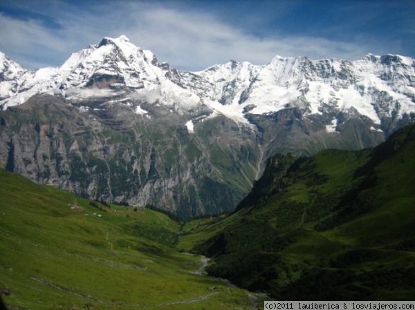 Vistas de la subida al Schilthorn
Es una imagen que refleja la grandiosidad de los paisajes Suizos, con sus imponentes montañas, sus verdes prados y los impresionantes desniveles.
