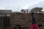 Senegal - Fish drying in the sun in Saint Louis