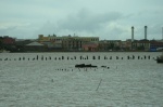 Senegal - Vista de Saint Louis desde la península