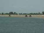 Senegal - Delta de Saloum