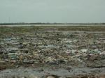 Senegal - Saloum Delta ... and tons of crap that accumulates power