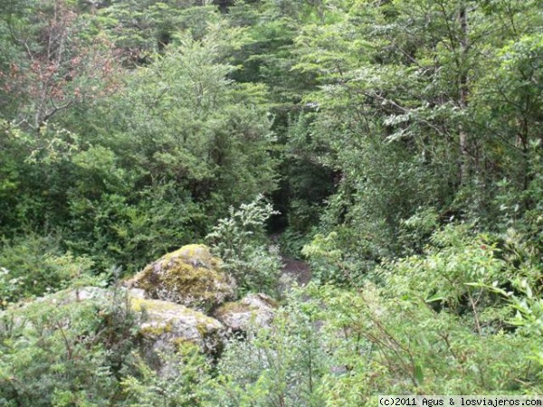 Ingreso Sendero Bosque Encantado
Se ubica casi al termino del Parque  Nacional Queulat, conduce  a la Laguna Ventisquero, junto al Salto del Cóndor.
