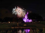Dos castillos en Disney
disney orlando castillo artificiales