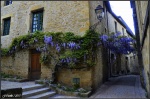 Sarlat