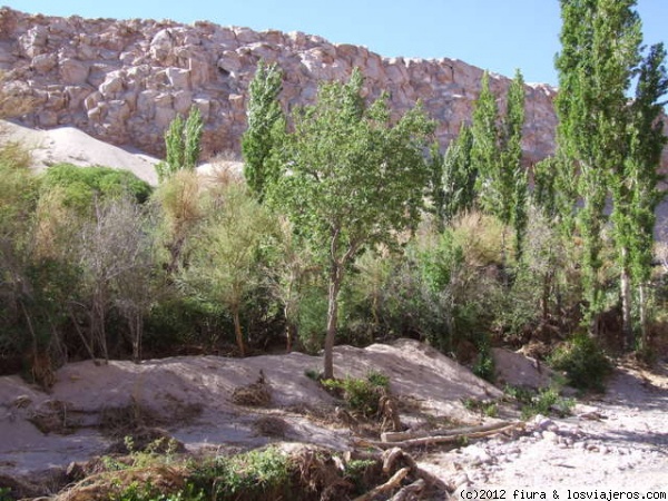 Oasis quebrada de Jerez en el desierto de Atacama
Oasis quebrada de Jerez en el desierto de Atacama, un hermoso lugar que aparece en el desierto nutrido por las aguas de los andes. Cerca de Toconao San Pedro de Atacama, pueblos originarios dejaron pictogrifos en sus cuevas.
