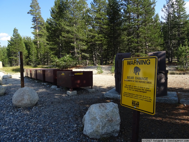 Día 11 Yosemite - Ruta por el oeste americano. (3)