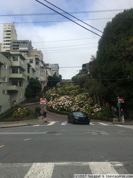 San Francisco Lombard Street
San Francisco Lombard Street

