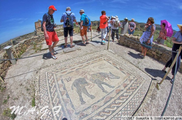 MOSAICOS ROMANOS EN VOLÚBILIS
MAGNIFICO ESTADO DE CONSERVACIÓN DE ESTOS RESTOS ROMANOS
