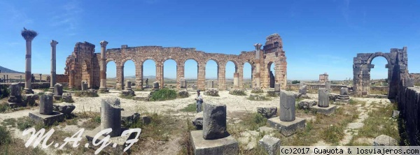 VOLÚBILIS
PRECIOSA CIUDAD ROMANA QUE MERECE UNA VISITA DESDE FEZ.
