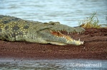 NECHISAR NATIONAL PARK