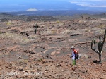 ISABELA ISLAND. GALAPAGOS ISLANDS