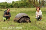 TORTUGAS. ISLAS GALÁPAGOS. ECUADOR