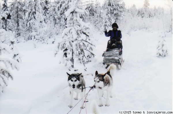 Laponia: navidad 2014
Paseando con Huskies
