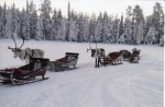 Laponia: navidad 2014
