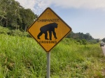 Señal chimpancés Uganda