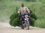 Transportando plátanos en moto