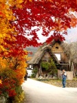 Inmortalizando el Momiji en Shirakawago
momiji, shirakawago. aldeas históricas