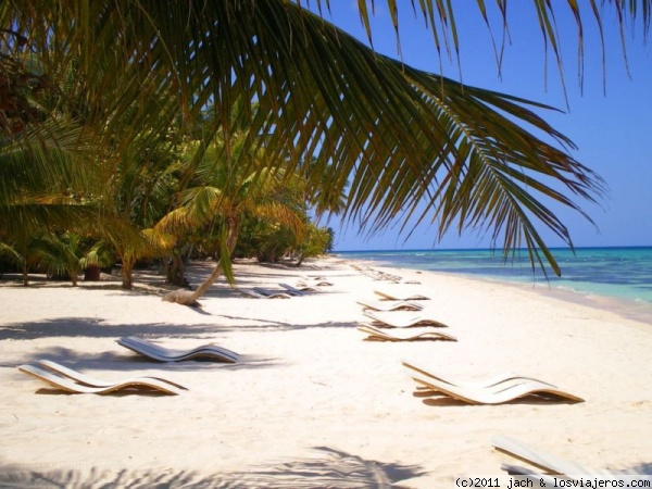 ISLA SAONA
IMAGEN DE LA ISLA DE SAONA, CON TODAS SUS AMACAS
