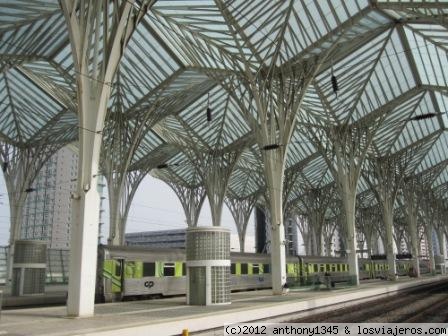 Bosque de metal
Cubierta de la Estación de Oriente de Lisboa, proyectada para la EXPO de 1998 por Santiago Calatrava.
