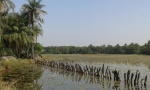 Laguna en Casamance
laguna África Senegal Casamance