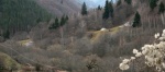 Paisaje búlgaro
Bulgaria Rila paisaje Balcanes invierno