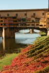 Arno, Firenze