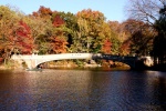 Central Park en otoño
Central Park