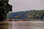 Sangha River