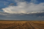 Tormenta en el Gobi
Gobi, Mongolia