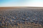 Chott-el-Jerid
Lago, sal, Jerid