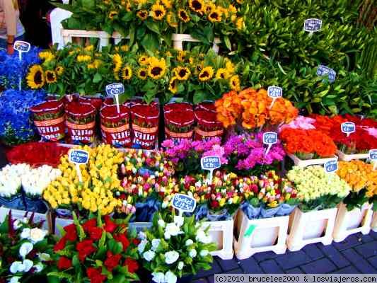 AMSTERDAM MERCADO DE LAS FLORES
Holanda es un país que cuida mucho a las flores. En amsterdam hay el mercado de las flores donde se puede encontrar flores de cualquier tipo de color.
