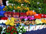 AMSTERDAM MERCADO DE LAS FLORES