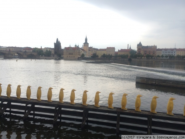 Vistas des Museo Kampa, Praga
Panorámica desde Museo Kampa, Praga
