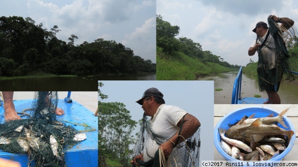 Pesca en el río Amazonas
Pesca en el río Amazonas
