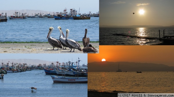 Paracas - Playa y Puerto
Paracas - Pelícanos en la playa y el atardecer
