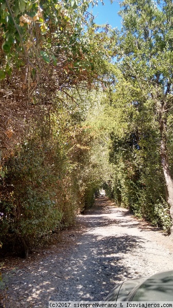 RARI 7a Reg
Últimos días del verano en el bucólico campo chileno. RARI está en la precordillera a unos 25 kms al noreste de Linares, al lado de balnearios termales. Aquí elaboran la centenaria artesanía con CRIN de múltiples colores, tb llamada RARI.
