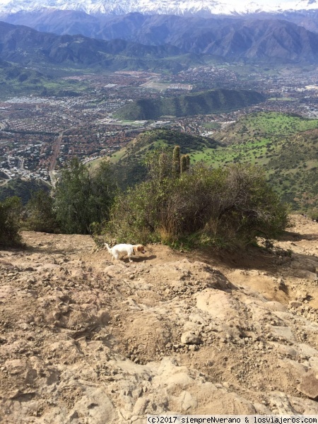 Santiago y Cerro San Cristóbal desde el MANQUEHUE
El Manquehue (