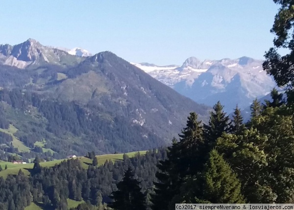 JAUNPASS o COL de BELLEGARDE
Tras visitar Gruyères y Broc, subimos hasta la cima del COL de BELLEGARDE o JAUNPASS, situada a 1500 msnm y que une el cantón francófono de Fribourg con el suizo-alemánico de Berna (zona de Spiez/Interlaken). Mientras en invierno unos practican el esquí en sus laderas, en verano esta collada es muy utilizada para el ciclismo y motorismo de montaña. Fue una inmersión en el cuento de Heidi con verdes praderas, casas coquetas y vacas por doquier.
