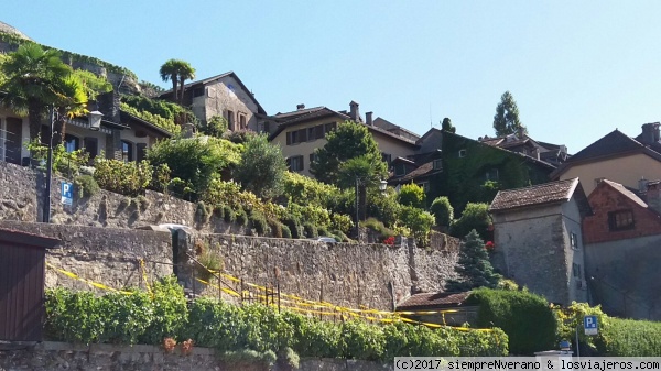 Viñedos del LAVAUX (Vaud)
La región del Lavaux AOC, que va desde Lausana hasta Montreux, cultiva sus viñedos (Patrimonio de la Humanidad de la UNESCO) en las escarpadas laderas que enfrentan en Lago Leman. Es especialmente conocida por sus vinos blancos afrutados y frescos de la uva Chasselas. Te recomiendo degustar uno, p. ej. de la Viña Epesses.
