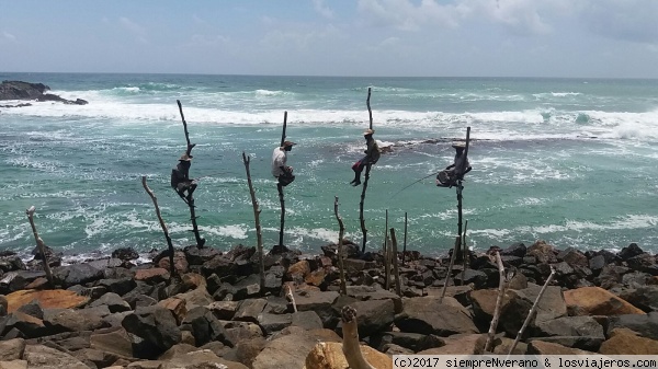 UNAWATUNA
esperando ver si pesca algún turista
