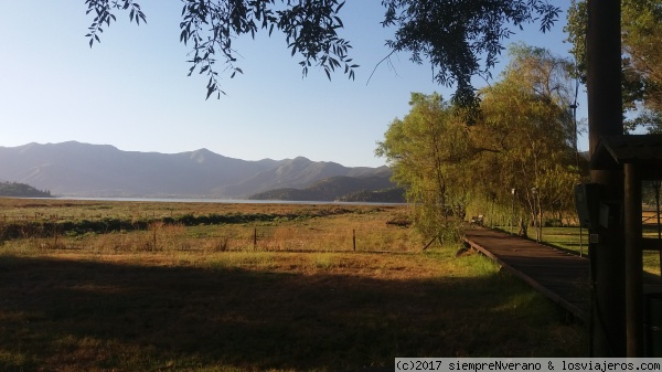 Efectos de la sequía en la LAGUNA DE ACULEO (R.M.)
ACULEO es una laguna ubicada en PAINE, a unos 75 kms al suroeste de Santiago y en pleno campo chileno de la Región Metropolitana (R.M.), . Su superficie se ha reducido de 12 a 4 kms2 por la persistente sequía, el uso indiscriminado de sus aguas y el calentamiento global.
