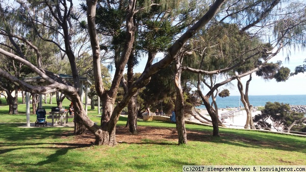 COTTESLOE Beach, Perth, W.A.
Fue reconocida por Lonely Planet entre las mejores playas del mundo para disfrutar en familia. Está situada al suroeste de Perth, a escasos 20 minutos en tren en dirección al puerto de Fremantle. Tras una breve caminata por el encantador sector residencial llegas a este pequeño paraíso, bajando por terrazas llenas de césped, mesas de picnic y árboles - un lugar ideal para descansar - hasta una de las playas de ciudad más populares de toda Australia Occidental. Cuenta con arenas doradas, aguas cristalinas y constantes olas, para nadar y practicar deportes acuáticos. Además, es el lugar perfecto para observar una bella puesta de sol sobre en Océano Índico,  mientras degustas mariscos frescos y un buen vino del sureño Margaret River .
