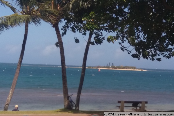 Baie des Citrons, NOUMÉA, Nueva Caledonia
NUMEA, ex-